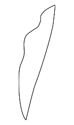 88450C2030 - Body: Seat Back Pad for Hyundai Image