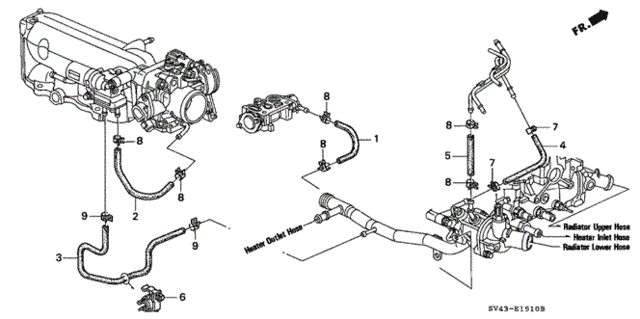 Water Hose (1) for 1994 Honda Accord #0