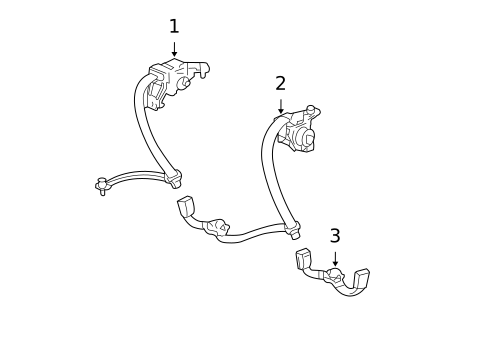 Rear Seat Belts for 2007 Acura TL #0