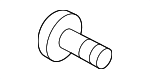 11570007 - Body: Door Check Bolt for GM Image