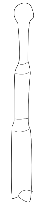 10256439 - Electrical: Antenna Mast for GM Image