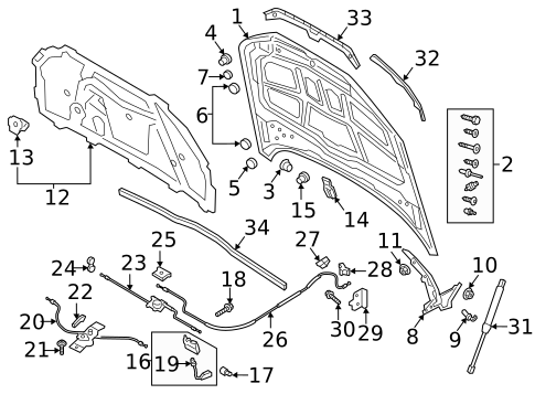 Hood & Components for 2025 Audi A4 Quattro #0