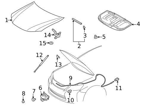 Hood & Components for 2011 Lexus HS250h #0