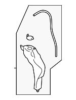 45150SL000 - Cooling System: Reservoir Assembly for Subaru Image