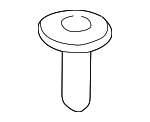 10293818 - Body: Rocker Molding Bolt for GM Image