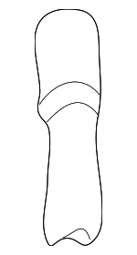 4552444 - Body: Drain Hose for Saab: 9-3, 9-5, 900 Image