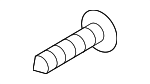 Body Side Molding Screw