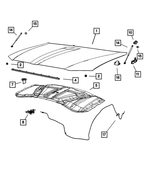 Hood and Hood Release for 2011 Chrysler 300 #0