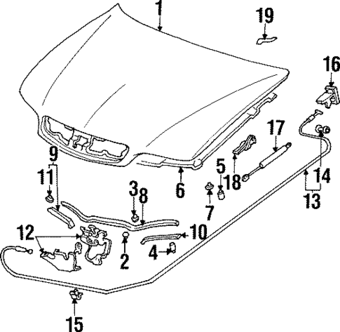 Hood & Components for 1998 Acura CL #0