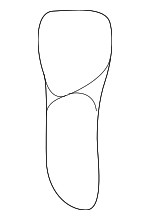 D10164046 - : 1995-2002 Mazda - Box Cushion for Mazda: 626, Millenia Image