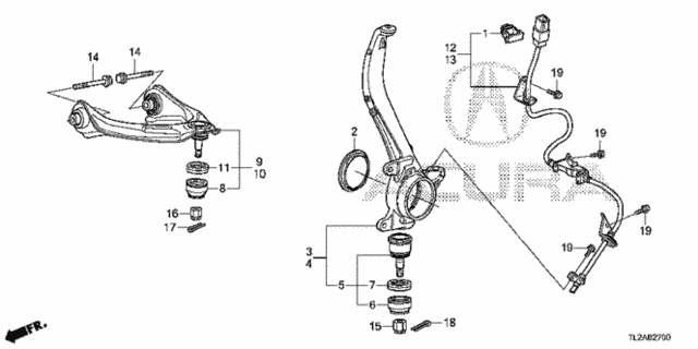 Front Knuckle for 2014 Acura TSX #0