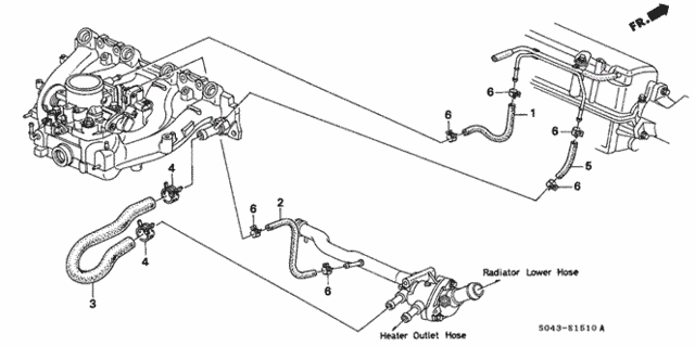 Water Hose (1) for 1997 Honda Civic #0