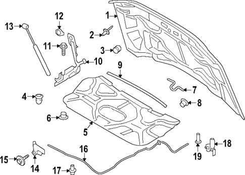 Hood & Components for 2024 Ford F-450 Super Duty #0