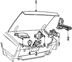 20728481 - Body: Lid for Buick: Riviera Image