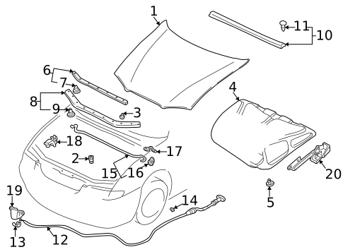 Hood & Components for 1999 Mazda 626 #0