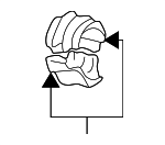3531428 - Fuel System: Clamp for Volvo: S70, V70 Image