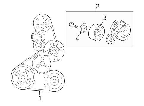 Belts for 2008 Honda Accord #1