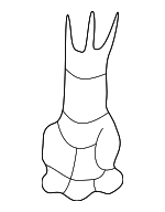 81140251B - Suspension: Stabilizer Bar Bolt for Nissan Image