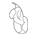 6943910010 - Body: Release Cable Retainer for Toyota: Prius Image