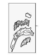 8W8810363 - Body: Inner Wheelhouse for Audi: A5 Sportback, RS5 Sportback, S5 Sportback Image