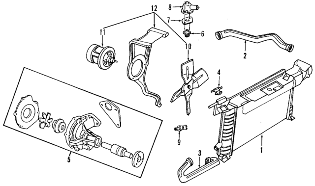 E93Z8260A - Cooling System: Upper Hose for Ford: Tempo | Mercury: Topaz Image