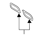 283132GTA0 - Engine: Intake Manifold Gasket for Hyundai: Santa Fe, Santa Fe Sport, Sonata, Tucson Image