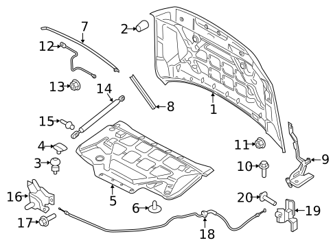 Hood & Components for 2023 Ford Expedition #0