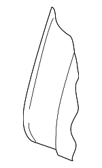 5H0885775C - Body: Seat Back Pad for Volkswagen Image