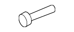 30640854 - Body: Door Check Bolt for Volvo Image