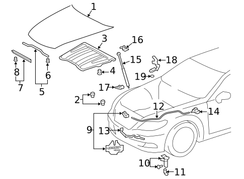 Hood & Components for 2015 Lexus LS460 #0