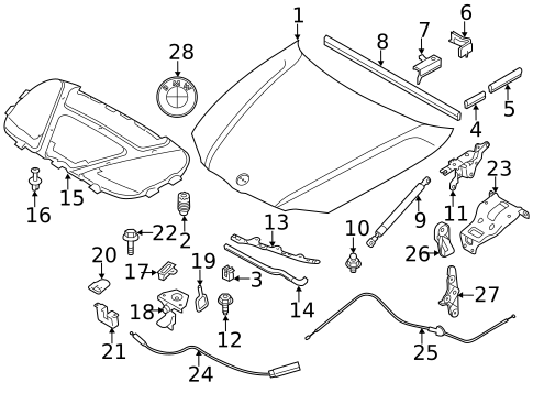 Hood & Components for 2011 BMW 128i #0