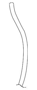 893809937 - Body: Hose for Volkswagen Image