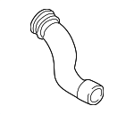 3B0145834AA - Cooling System: Upper Press Hose for Volkswagen: Passat Image