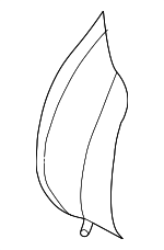 64110FC140 - Body: Seat Back Frame for Subaru: Forester Image