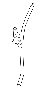 1145222021 - Engine: Guide Tube for Toyota: Corolla Image