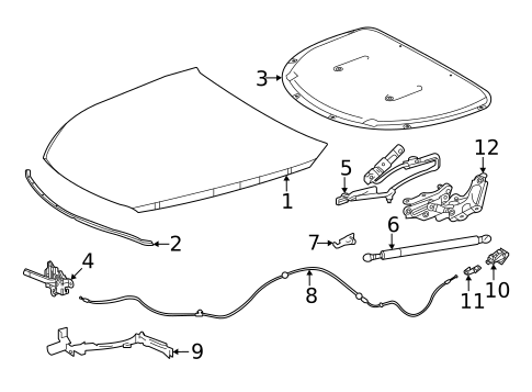 Hood & Components for 2021 Toyota Mirai #0