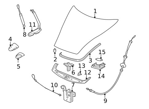 Hood & Components for 2023 Porsche 718 Spyder #2