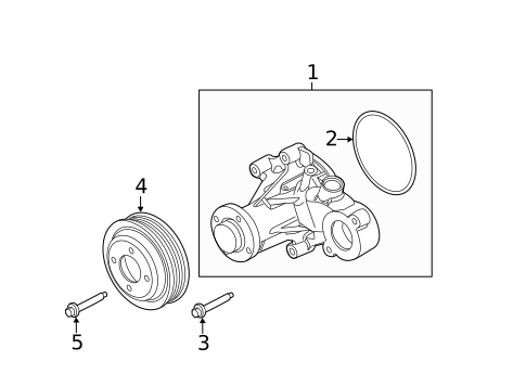 Water Pump for 2011 Ford Mustang #0