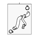 23346507 - Cooling System: Lower Hose for GM Image