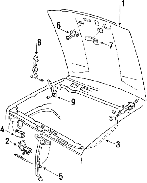 Hood & Components for 1985 Ford Bronco #0