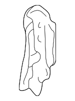 765247B030 - Body: Inner Pillar Bracket for Nissan: Quest Image