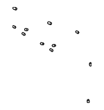 2018-2025 Audi - Covering