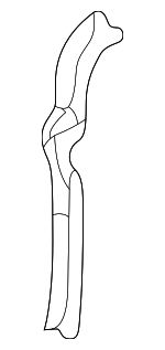 MR325489 - Body: Center Support for Mitsubishi Image