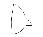 8S8885775 - : Seat Back Pad for Audi: TT Quattro, TT RS Quattro, TTS Quattro Image