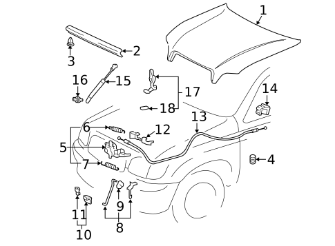 Hood & Components for 2006 Toyota Sequoia #0