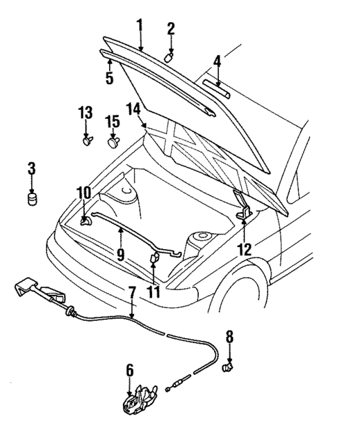 Hood & Components for 1998 Nissan Sentra #0