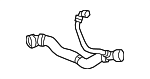 17129894783 - Cooling System: Lower Hose for BMW Image