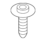 7119908698 - Electrical: High Note Horn Screw for BMW Image