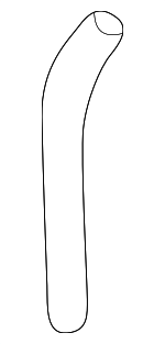 950033312510 - Body: Drain Tube for Honda: Civic Image