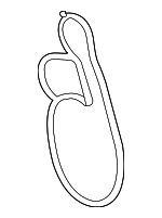 16271WAA01 - Cooling System: Water Pump Gasket for Toyota Image